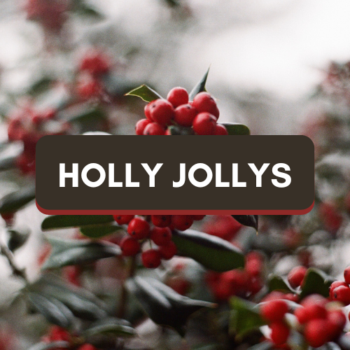 Holly Jollys Fast Track Challenge